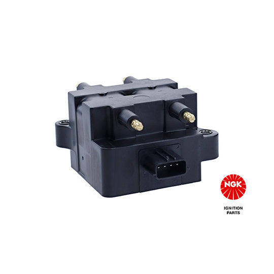 48254 Ignition coil