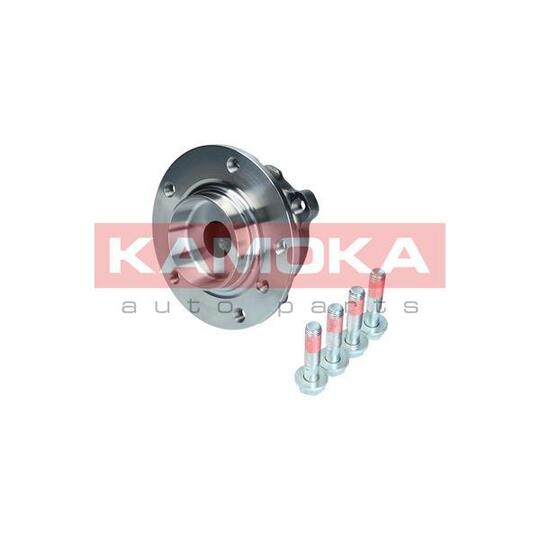 5500132 Wheel Bearing Kit