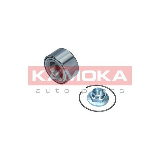 5600166 Wheel Bearing Kit