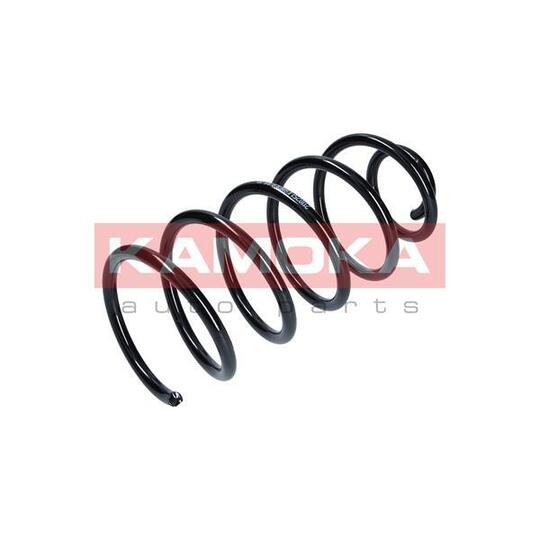 2110251 Coil Spring