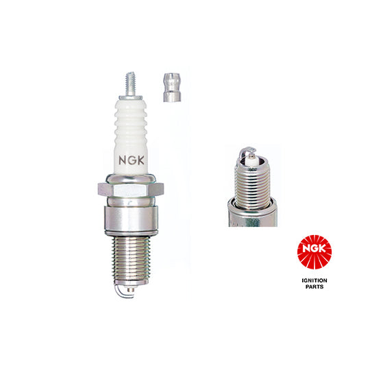 2412 Spark Plug