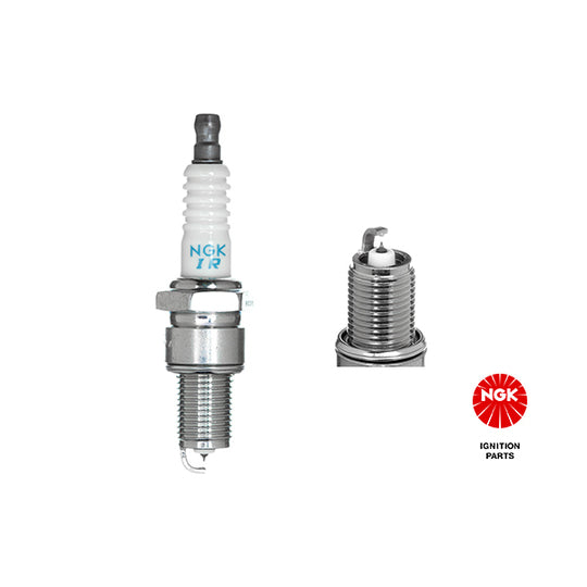 3106 Spark Plug