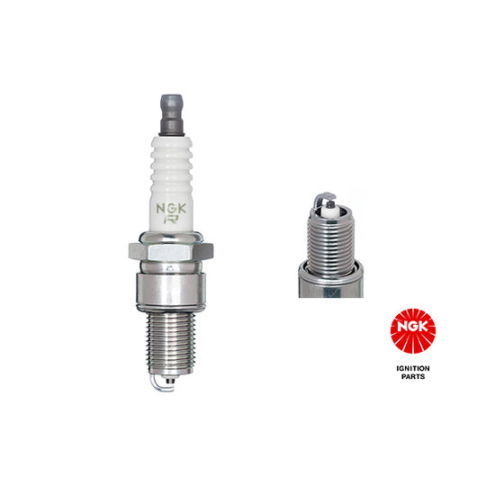 6464 Spark Plug