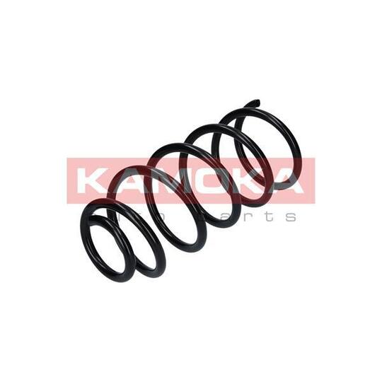 2110060 Coil Spring