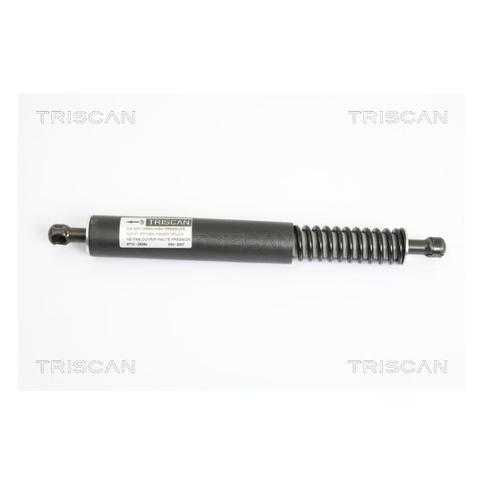 8710 29264 Gas Spring, boot-/cargo area