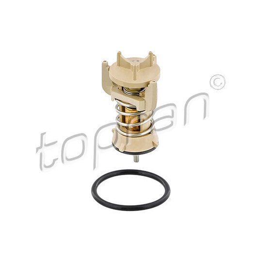 117 027 Thermostat, coolant