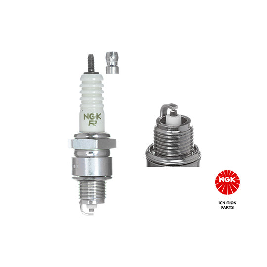 4553 Spark Plug