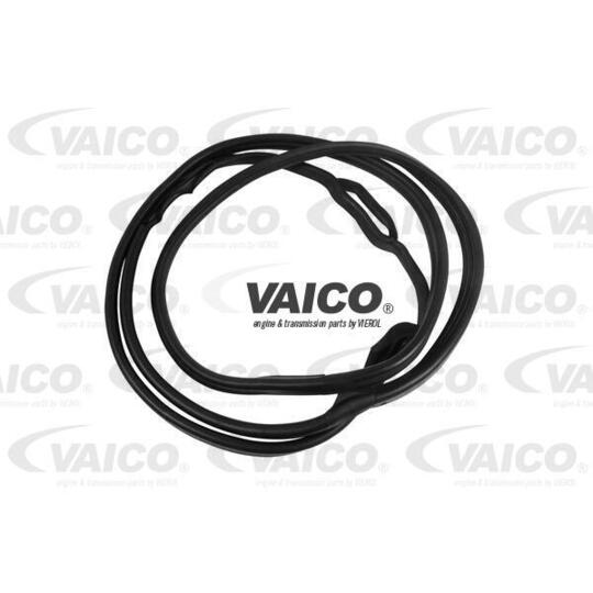 V30-1547 Seal, door window