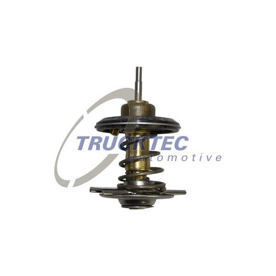 02.19.240 Thermostat, coolant