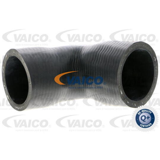 V30-2916 Radiator Hose