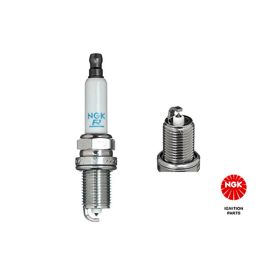 1675 Spark Plug