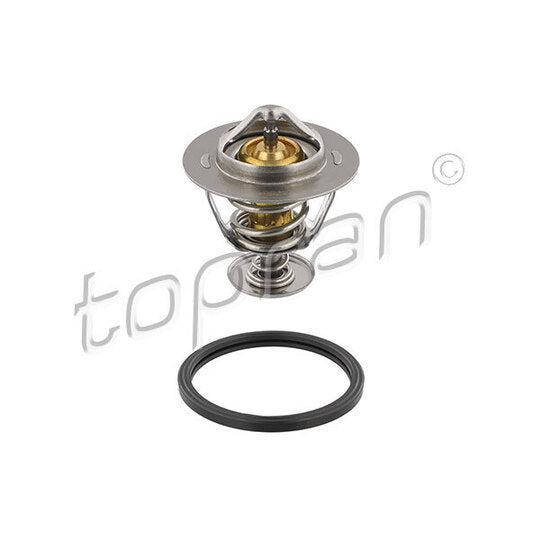 630 301 Thermostat, coolant