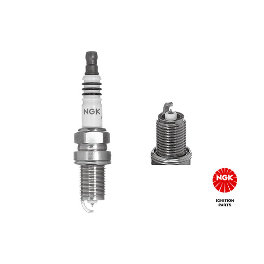 5690 Spark Plug