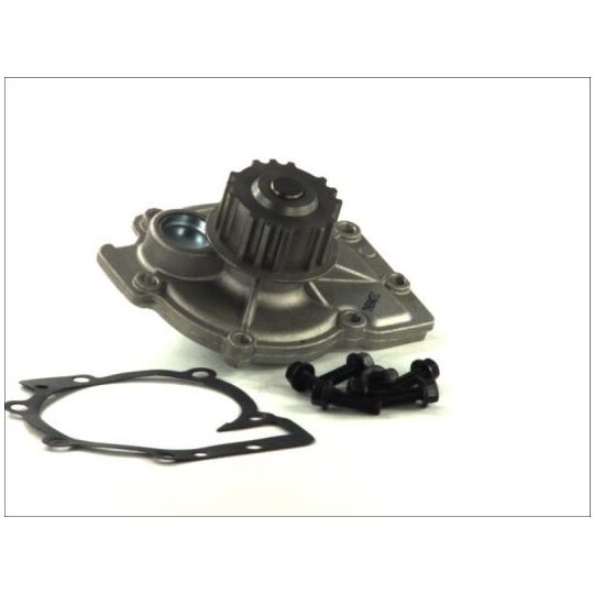 D1V013TT Water pump