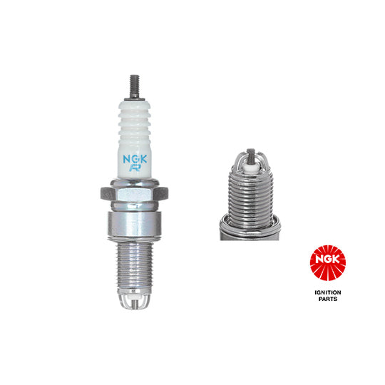 3377 Spark Plug