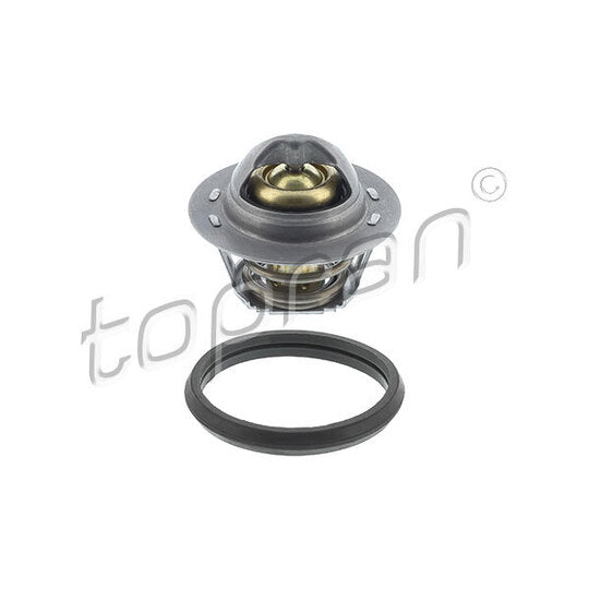 630 314 Thermostat, coolant