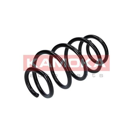 2110241 Coil Spring
