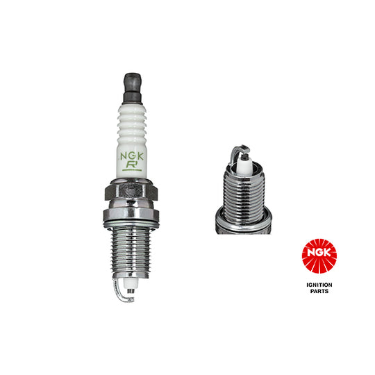 5584 Spark Plug
