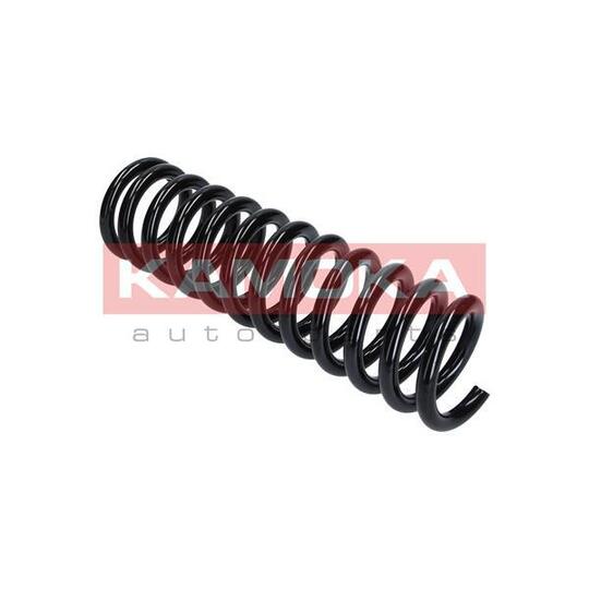 2110180 Coil Spring