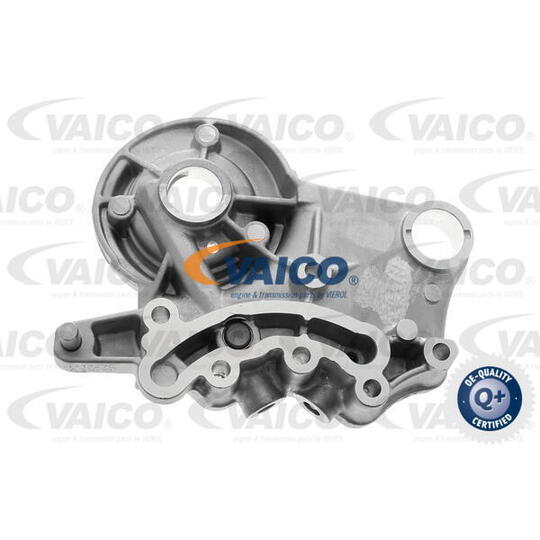 V10-4755 Camshaft Bushes