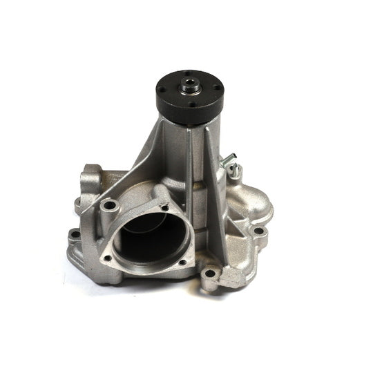 P181 Water pump
