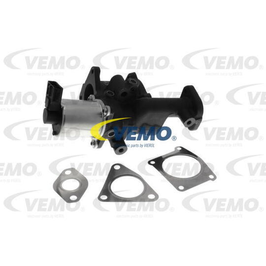 V40-63-0017-1 EGR Valve