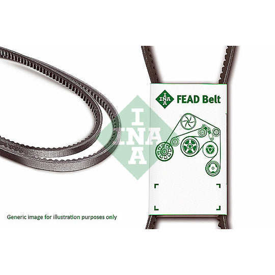 FB 13X825 V-belt