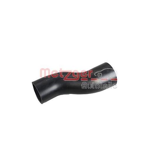 2152007 Fuel Hose