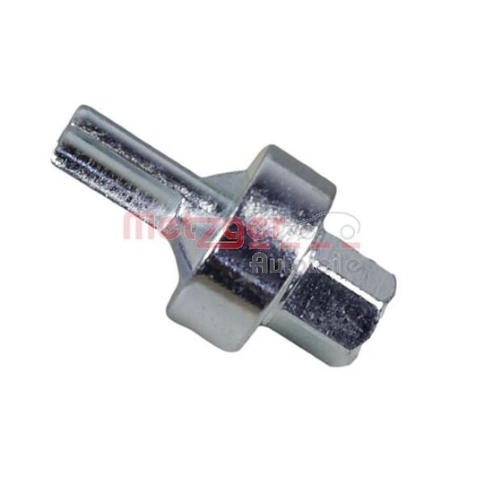8030100 Socket, oil drain plug