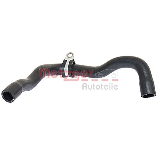 2420053 Radiator Hose