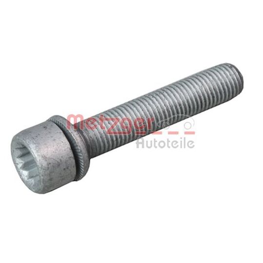 6250007S Bolt, brake caliper
