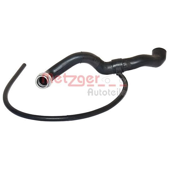 2420129 Radiator Hose