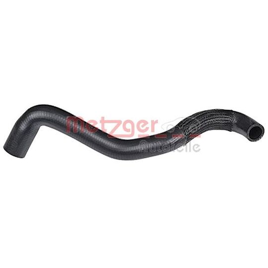 2420248 Radiator Hose