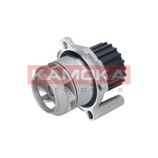 T0251 Water Pump