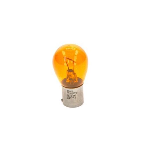 1 987 302 866 Bulb