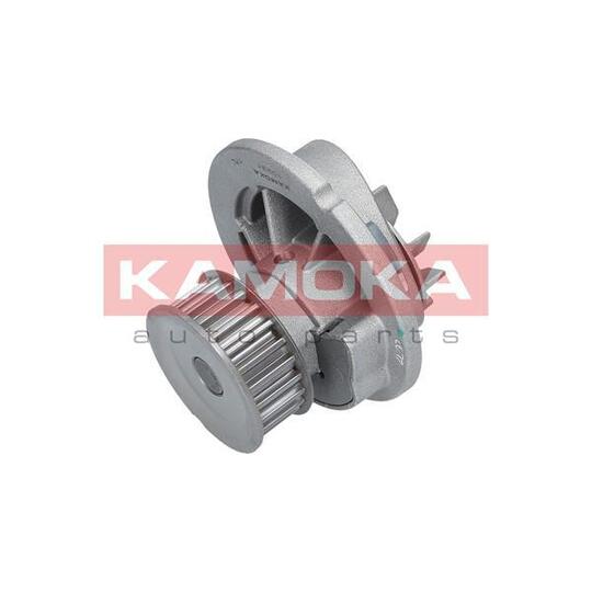 T0231 Water Pump