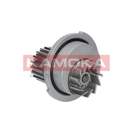 T0066 Water Pump