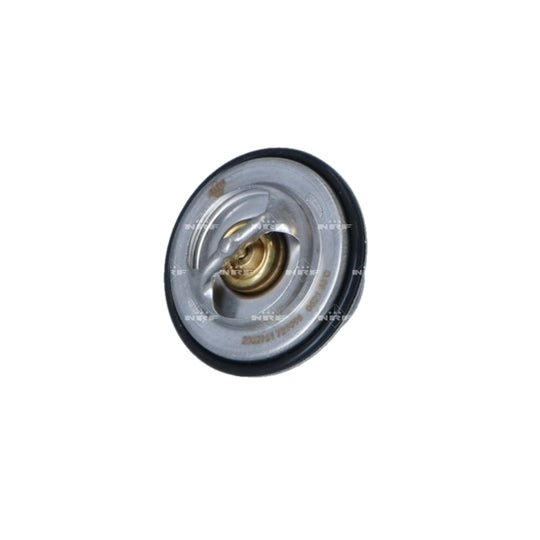 725096 Thermostat, coolant