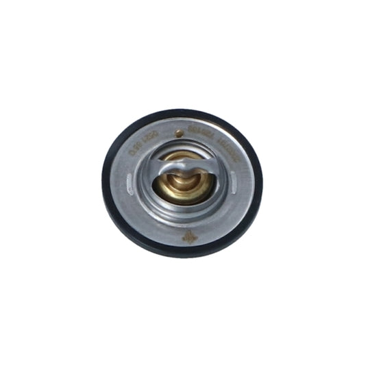 725183 Thermostat, coolant