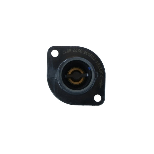 725035 Thermostat, coolant
