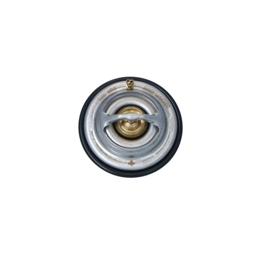 725075 Thermostat, coolant