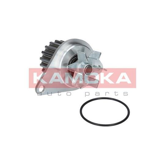 T0089 Water Pump