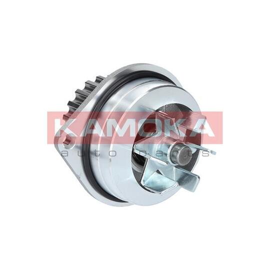 T0079 Water Pump