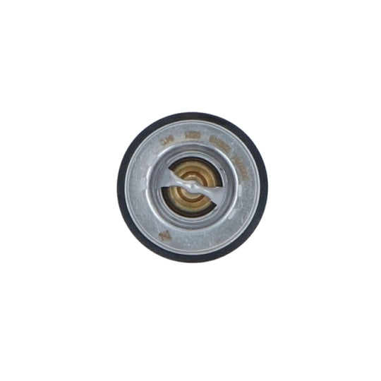 725213 Thermostat, coolant