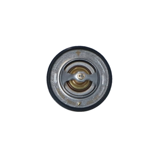 725111 Thermostat, coolant