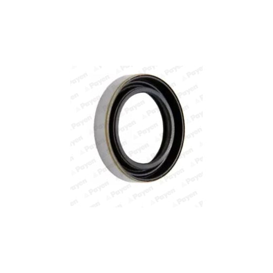 NK122 Shaft Seal, differential