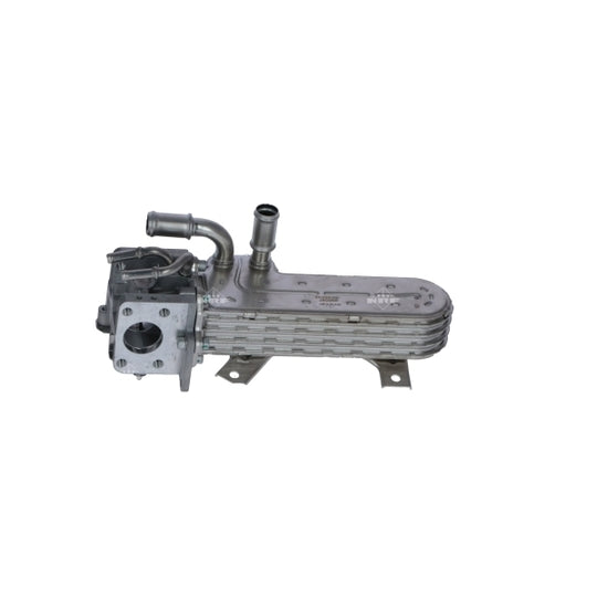 48367 EGR Module
