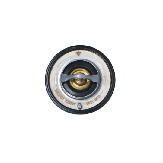 725097 Thermostat, coolant