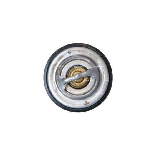 725216 Thermostat, coolant
