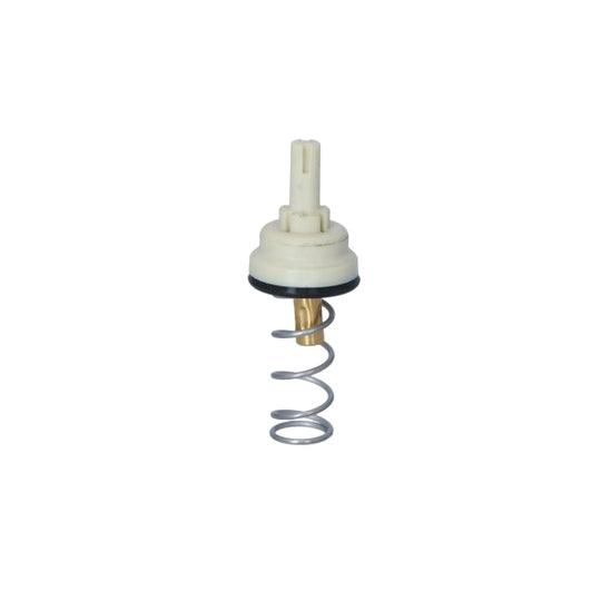 725203 Thermostat, coolant